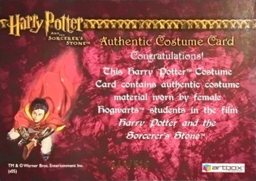 Female Hogwarts Students Costume - Back