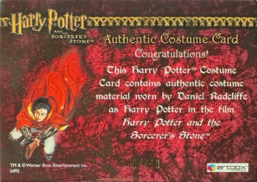 Harry Potter's Quidditch Robe - Back