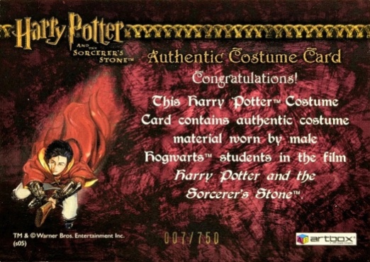 Male Hogwarts Students Costume - Back