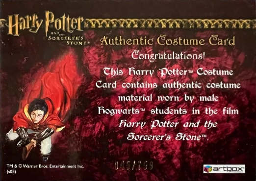 Male Hogwarts Students Costume - Back