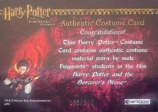 Male Hogwarts Students Costume - Back