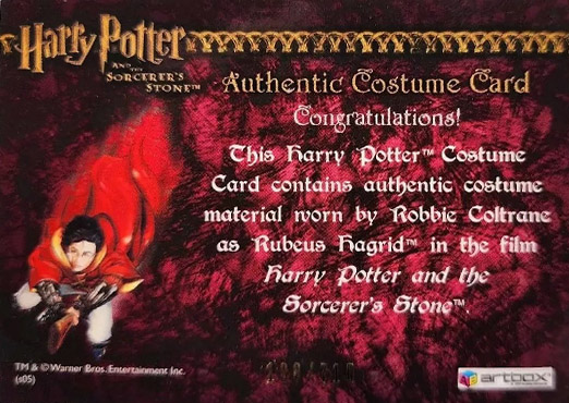 Rubeus Hagrid's Shirt - Back