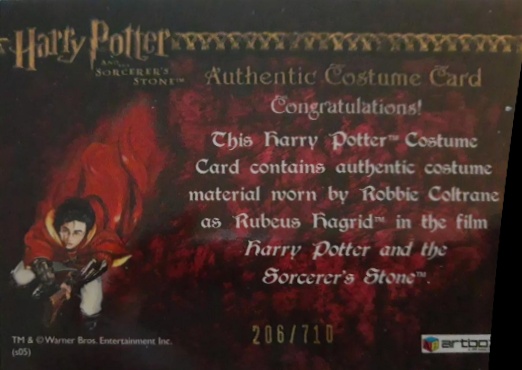 Rubeus Hagrid's Shirt - Back