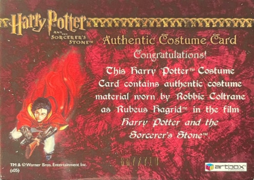 Rubeus Hagrid's Shirt - Back