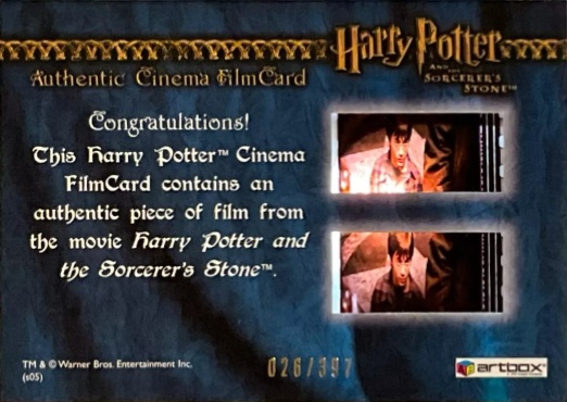 Hagrid in Diagon Alley - Back