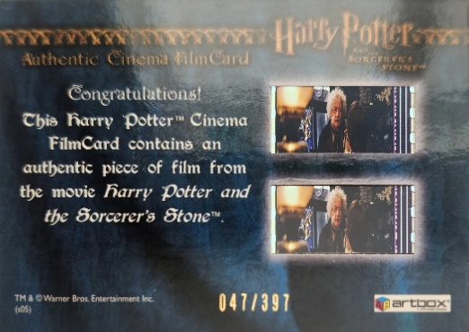 Hagrid in Diagon Alley - Back