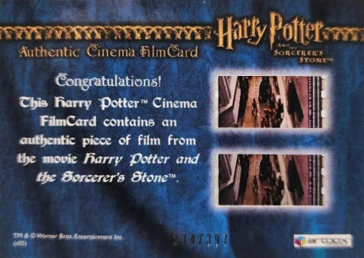 Hagrid in Diagon Alley - Back