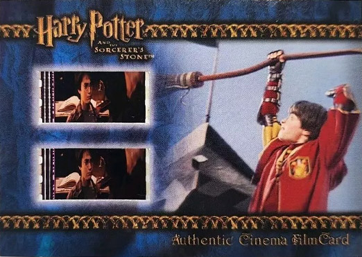 Harry Playing Quidditch