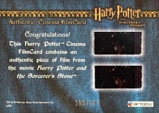 Harry Playing Quidditch - Back