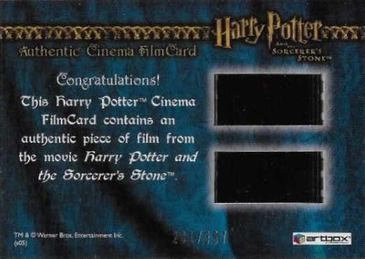 Harry Playing Quidditch - Back