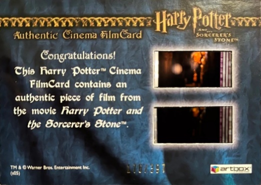 Harry With New Wand in Ollivander's - Back