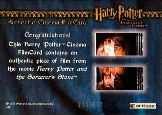 Harry With New Wand in Ollivander's - Back