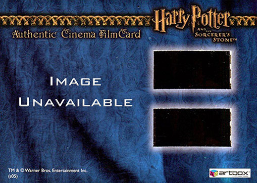 Hedwig Delivers the Nimbus 2000 - Back