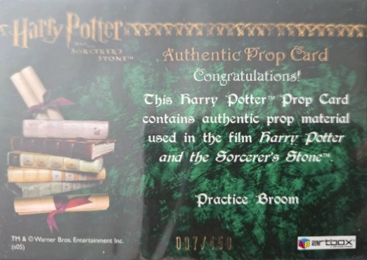 Practice Broom - Back