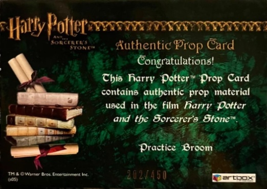 Practice Broom - Back