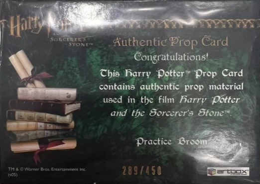 Practice Broom - Back