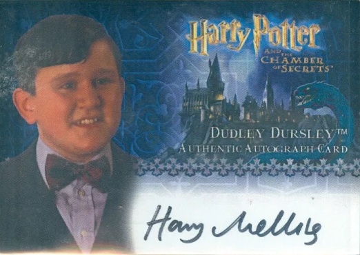 Harry Melling as Dudley Dursley - Front