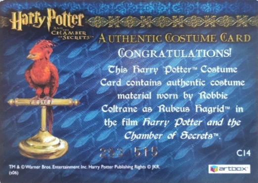 C14 - Rubeus Hagrid's Shirt - Back