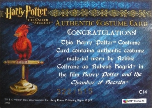 C14 - Rubeus Hagrid's Shirt - Back