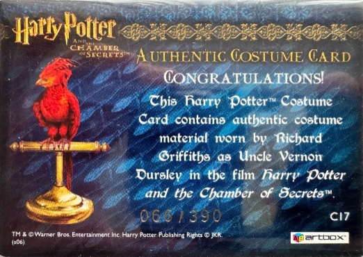 C17 - Uncle Vernon's Grey Suit - Back