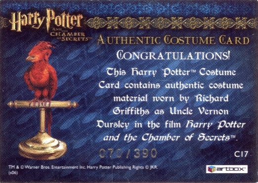 C17 - Uncle Vernon's Grey Suit - Back