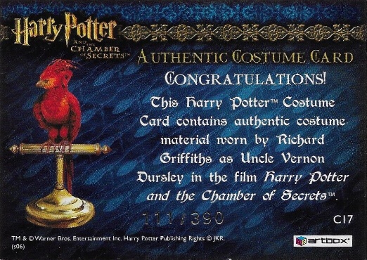 C17 - Uncle Vernon's Grey Suit - Back