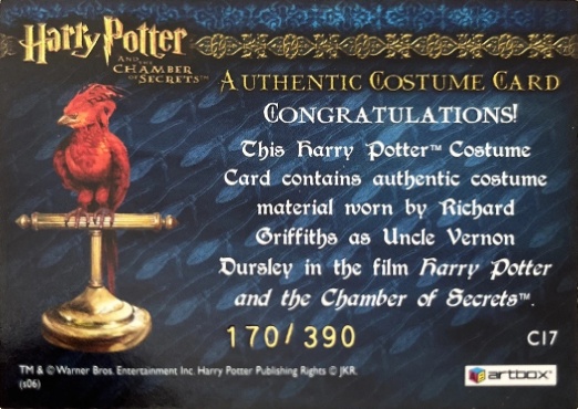 C17 - Uncle Vernon's Grey Suit - Back