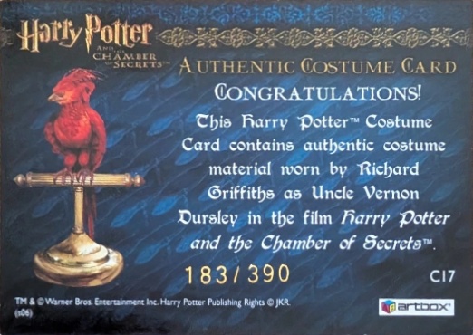 C17 - Uncle Vernon's Grey Suit - Back