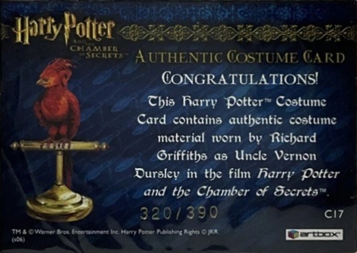 C17 - Uncle Vernon's Grey Suit - Back