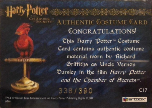 C17 - Uncle Vernon's Grey Suit - Back