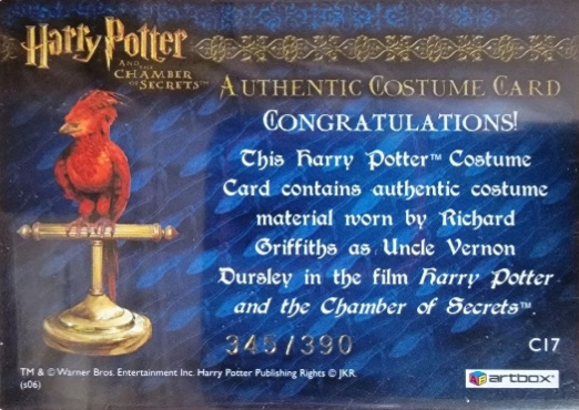 C17 - Uncle Vernon's Grey Suit - Back