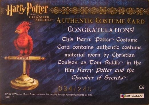 C6 - Tom Riddle's Jumper - Back