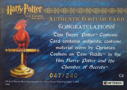 C6 - Tom Riddle's Jumper - Back