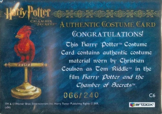 C6 - Tom Riddle's Jumper - Back