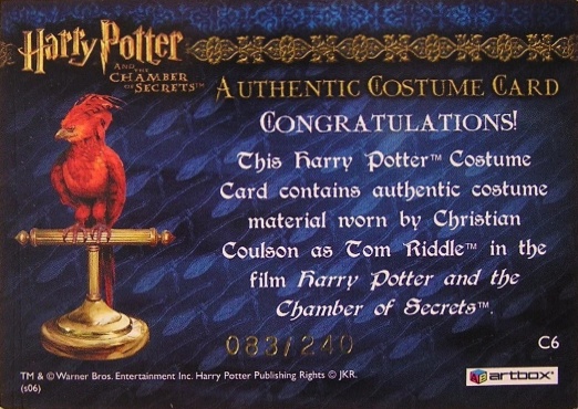 C6 - Tom Riddle's Jumper - Back