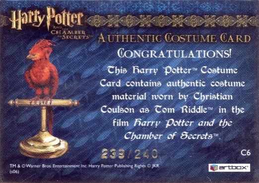 C6 - Tom Riddle's Jumper - Back