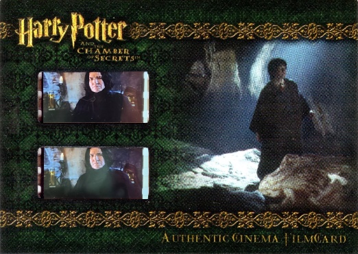 CFC7 - Basilisk Skin - Front