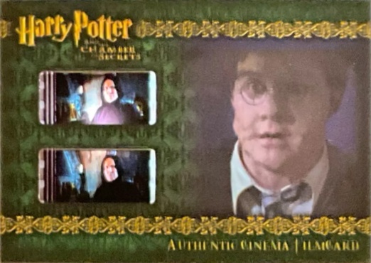 CFC9 - Harry turning into Goyle - Front