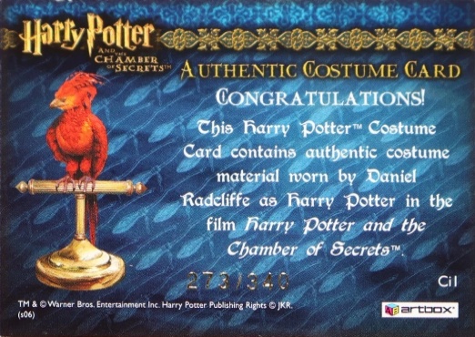 Ci1 - Harry Potter's Striped Pajamas - Back