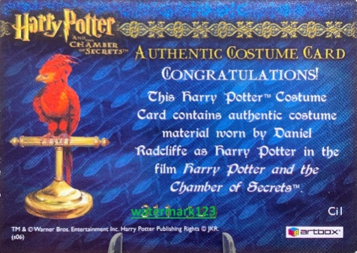 Ci1 - Harry Potter's Striped Pajamas - Back