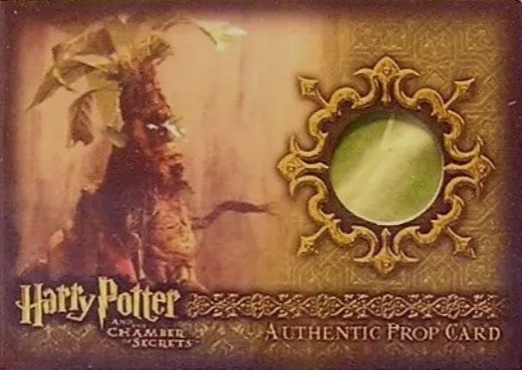 P5 - Mandrake - Front