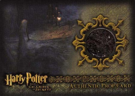 P8 - Aragog's Legs - Front