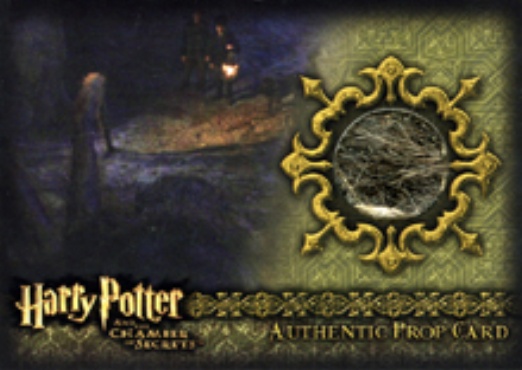 P8 - Aragog's Legs - Front