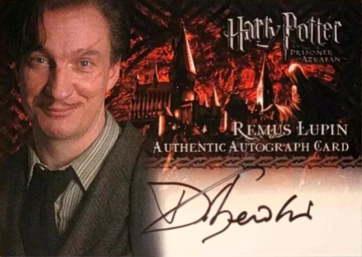 David Thewlis as Professor Lupin