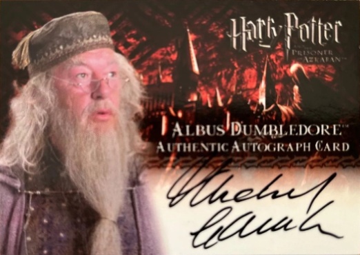 Michael Gambon as Albus Dumbledore - Front