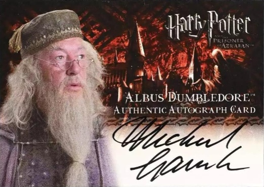 Michael Gambon as Albus Dumbledore - Front