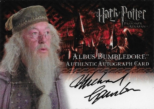 Michael Gambon as Albus Dumbledore - Front