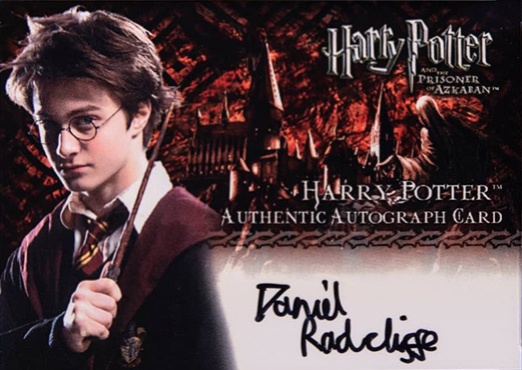 Daniel Radcliffe as Harry Potter