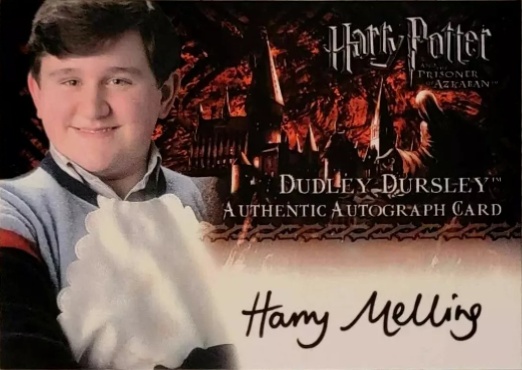 Harry Melling as Dudley Dursley