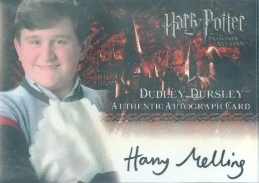 Harry Melling as Dudley Dursley - Front
